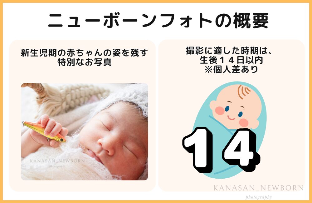ニューボーンフォトの概要の図解